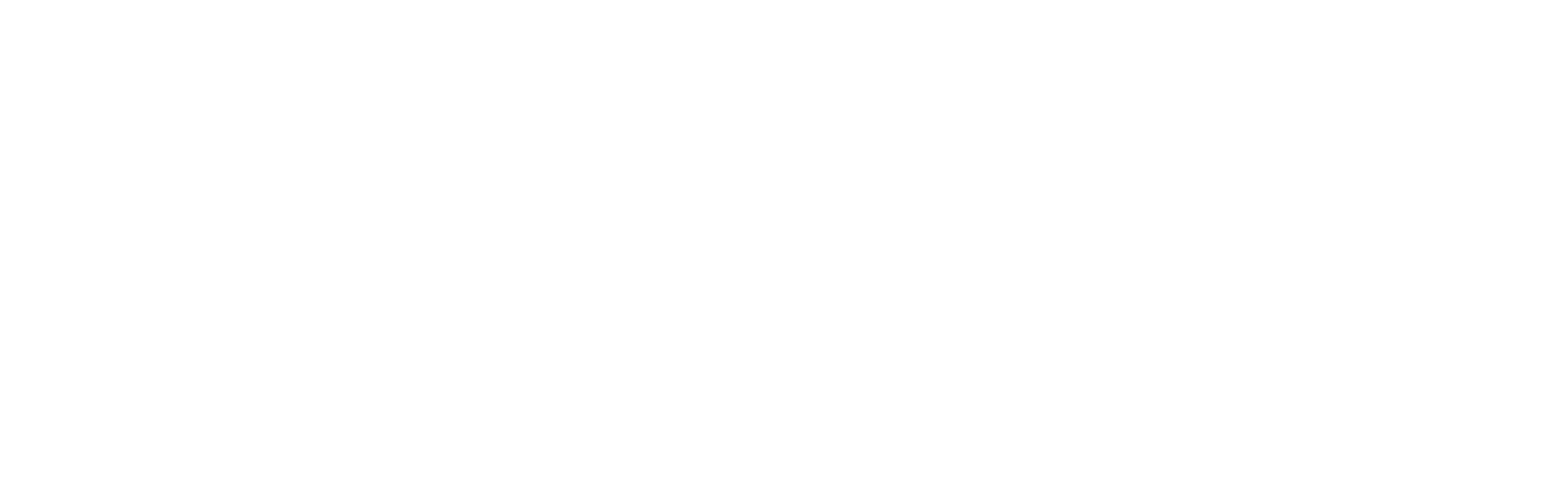 MISLogoWhite